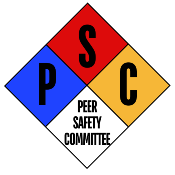 Peer Safety Committee receives the Outstanding ACS Student Community Award