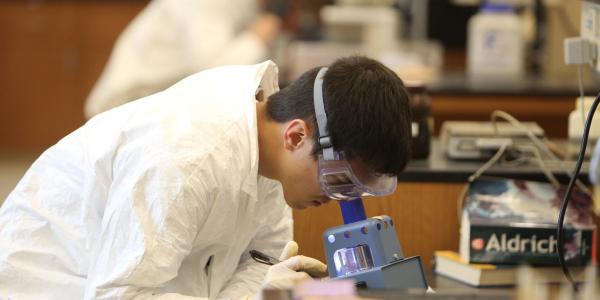 student working in lab