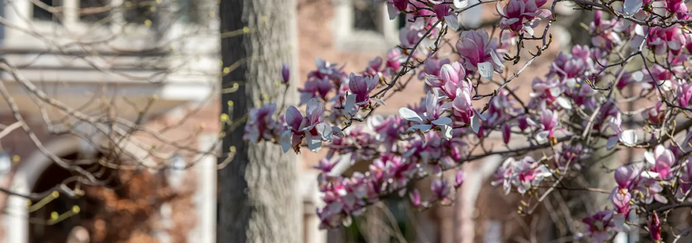 Ludmir wins Switzer Leadership Award