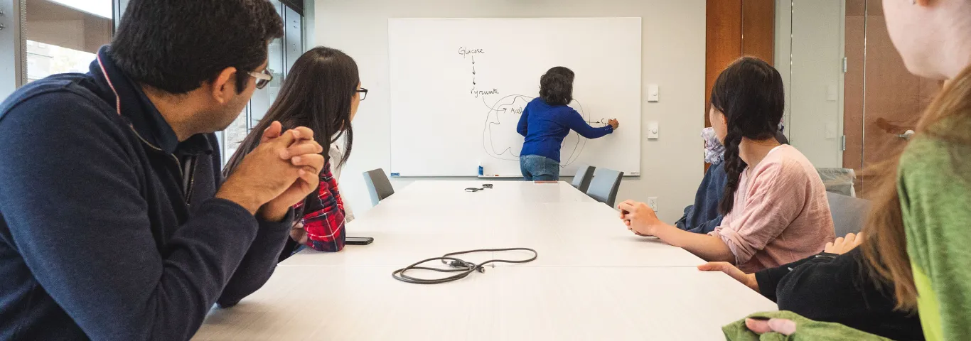 professor lecturing to small group of students
