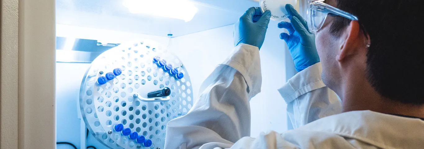 person organizing lab samples